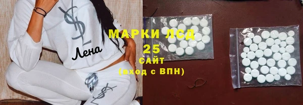 крисы Аркадак