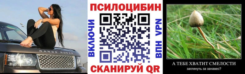 Галлюциногенные грибы Cubensis  Новомосковск 